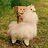 AlpacaWare