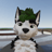 Azora_Husky