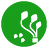 DerevaSystems