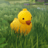DuckFondler