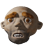 FeylidaiLimo