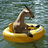 FloatGoat