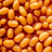 GovnaBeans