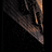 Hal-Xu