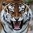 Maciek_Leto