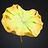 Mai_Thanh_Duong