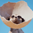 PaolaOCR