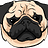 PugLifeStudio