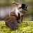 RegularSquirrel