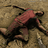 Snipershot_US