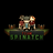 TeamSpinatch
