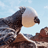 unused_vertices