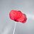 user_fb3d5d8f9bab041d59524fb7421cc3c2c8189e940758daf5a7ffe2