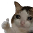 Verothis
