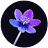 VioletBeamGames